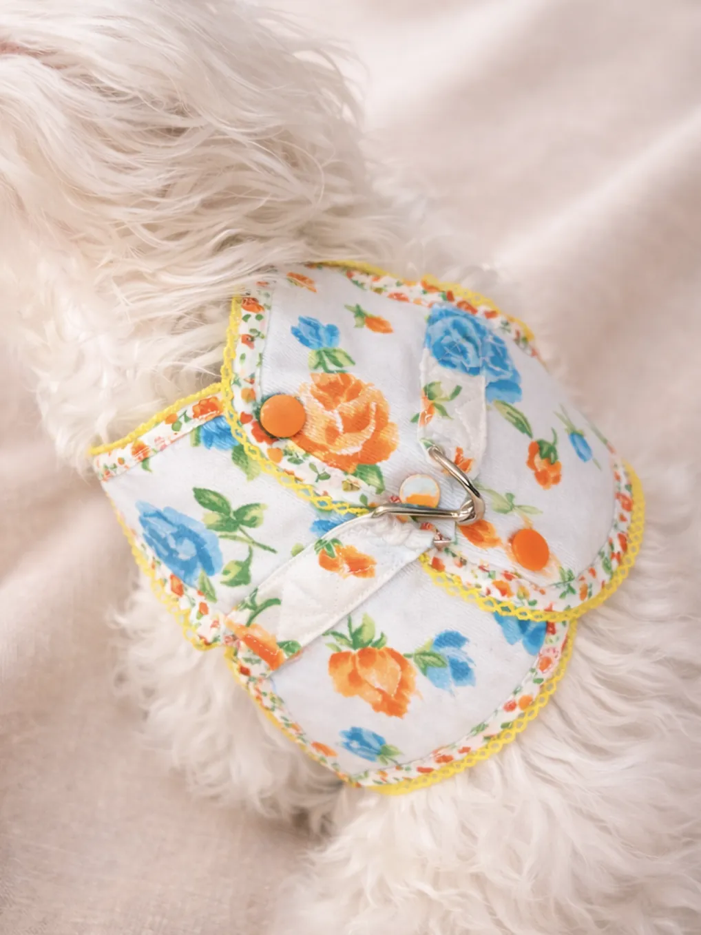 Colección Floral Pet.Olid