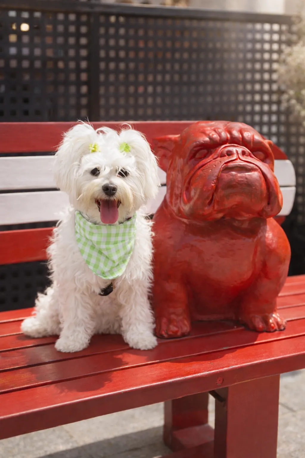 Bandana verde vichy - Pet.Olid