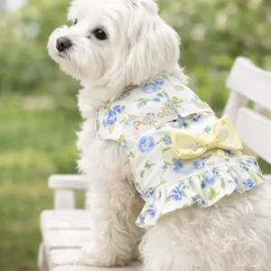 perro pequeño con arnés Riviera Lur floral azul verano Pet.Olid