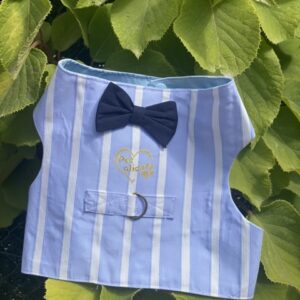 Arnés para perro - Rayas Azul Pajarita