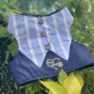 Arnés para perro - Azul Botones