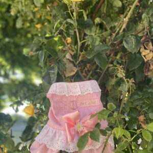 Arnés para perro - Rosa Lazo vestido