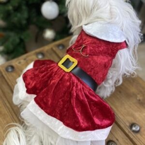 NAVIDAD