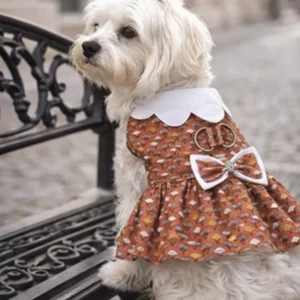 Vestido Imperio Urbano – Vista Completa