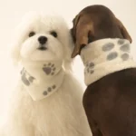 Wisy y Pippo cuello huellitas_result