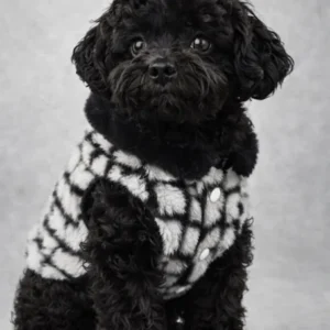 abrigo elegante para perro nordic elegance invierno