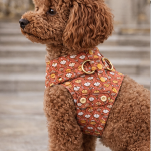 arnés chaleco art deco para perro en caniche marrón