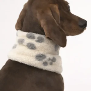 Cuello para Perro Huellitas Polar 2 en 1