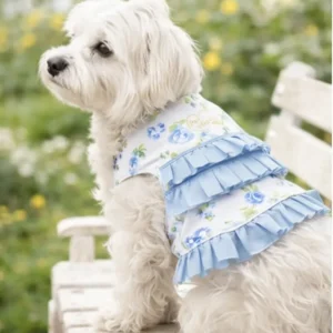 arnés Jardin Bleu Lur floral azul con volantes sobre perro pequeño en jardín