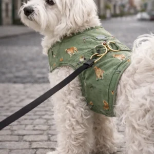 Perrin Verde – Arnés Urbano Elegante