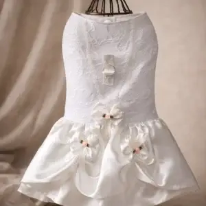 Vestidos