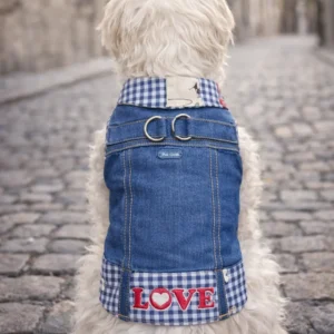 vaquera-love-arnes-vaquero-perro-pecho