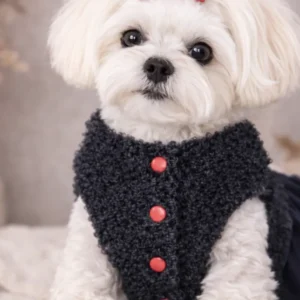Abrigo de invierno para perro Pet.Olid en tejido bouclé negro con botones rojos