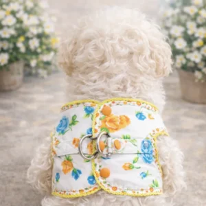 Arnés Capri Azahar puesto en bichón maltés