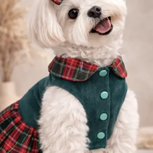 vestido balmoral para perro estilo tartan petolid