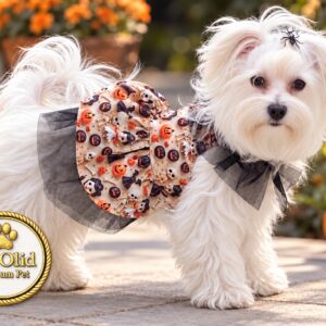 Perrita con arnés vestido Aquelarre de Halloween y tul negro