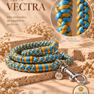 Correa artesanal para perro VECTRA – Pet.Olid