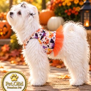Arnés vestido para perro Travesura | Halloween